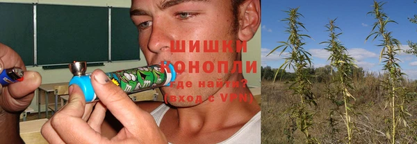 прущие грибы Арсеньев