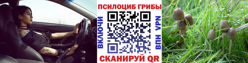 купить наркотик  Алатырь  Галлюциногенные грибы Magic Shrooms 